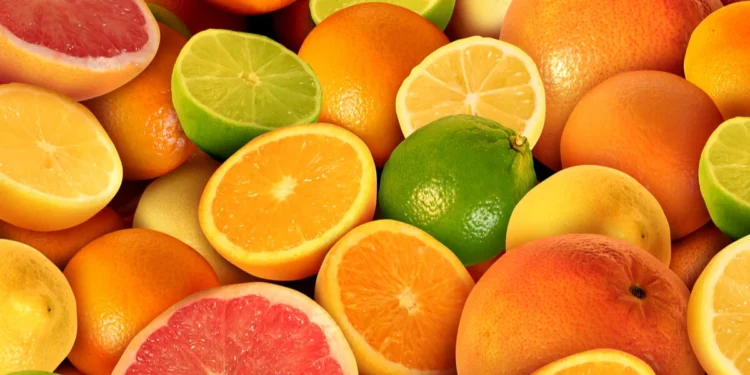 What is in season this month? Embrace February’s Seasonal Bounty: Fresh, Flavorful, and Nutritious