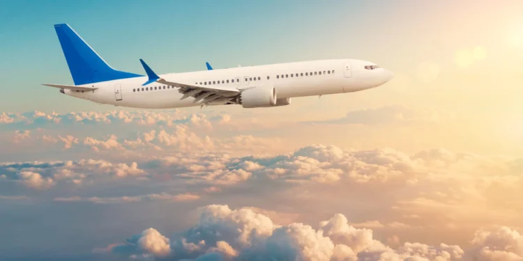 Sha’s Airport Snack Picks: Fueling Your Body While Flying